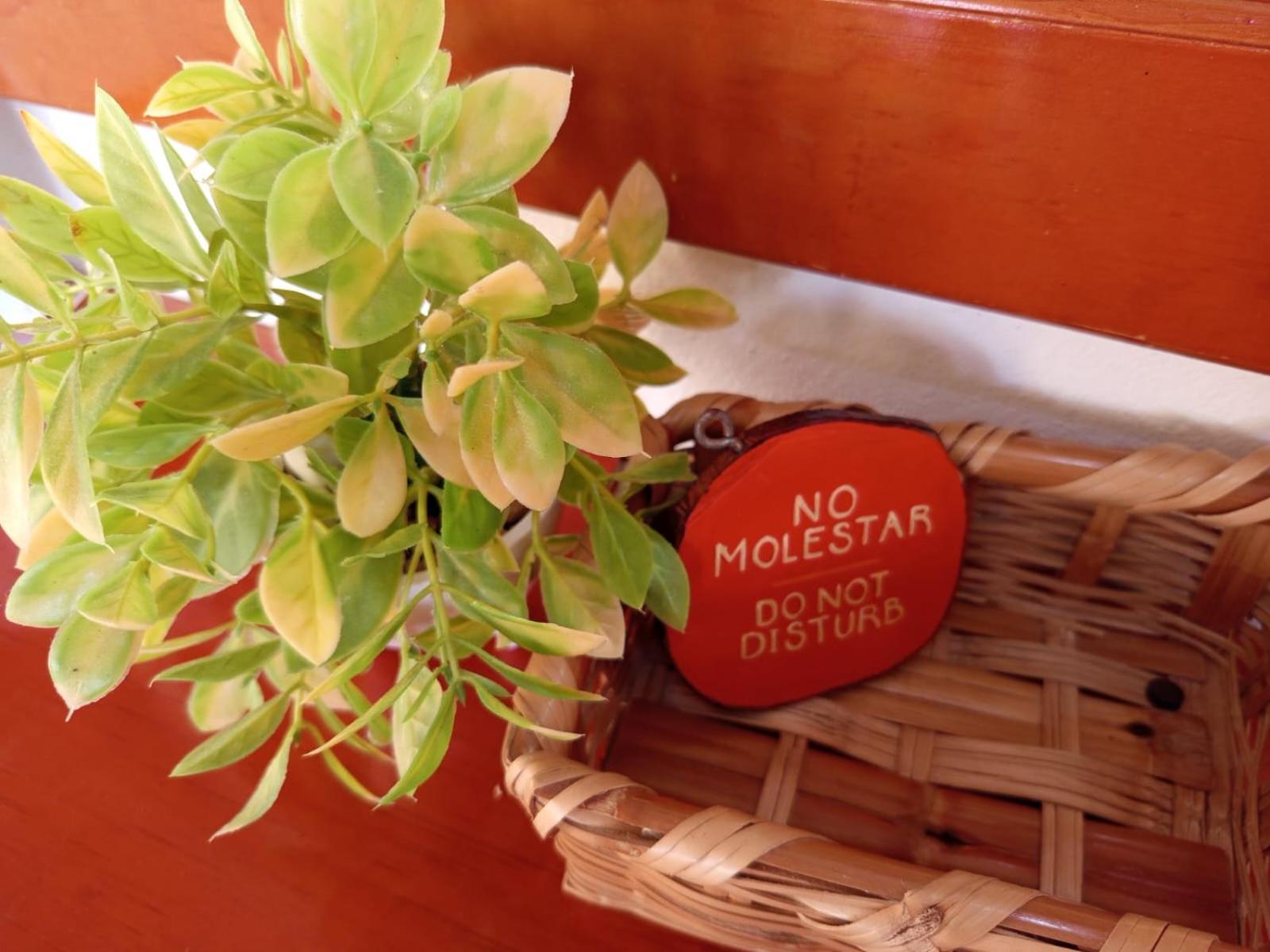 Casa Aloha-isla Isla Holbox