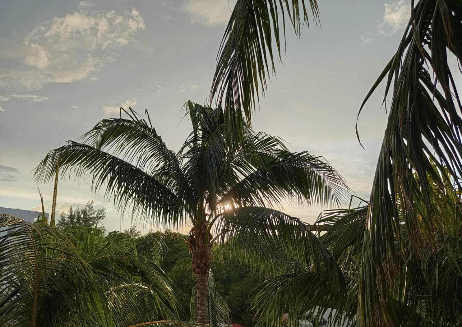 Casa Aloha-isla Apartahotel *