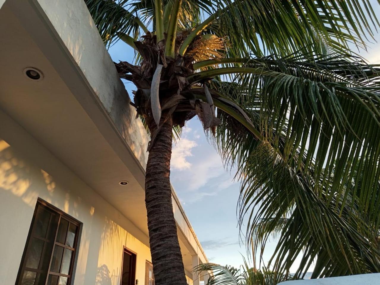 Casa Aloha-isla Apartahotel