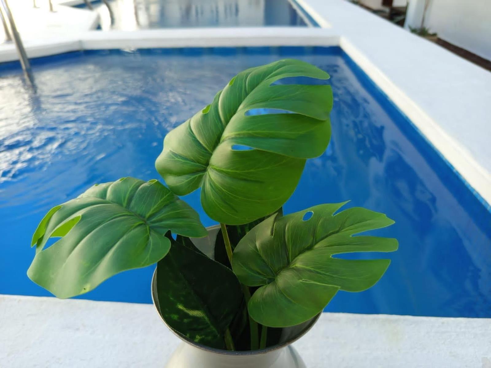 Apartahotel Casa Aloha-isla Isla Holbox